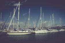 Boats In Marina