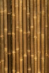 Brown Bamboo Background