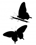Butterfly Silhouette Clipart