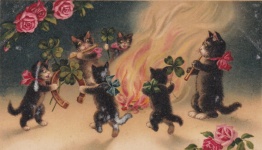 Cats Party At The Campfire