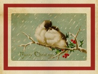Christmas Card Vintage Birds