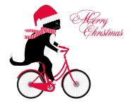 Christmas Cat Riding Bicycle