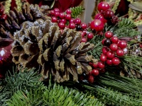 Christmas Pine Cone Still-Life