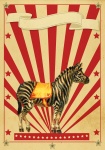 Circus Retro Poster Zebra