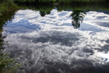 Clouds Reflected In Pond