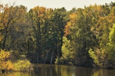 Country Pond In Fall