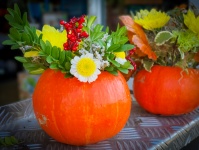 Decorated Pumpkins