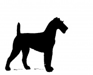 Dog Silhouette Irish Terrier