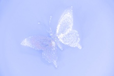 Faded Butterfly Background