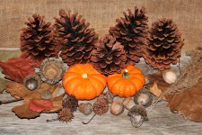 Fall Collection On Wood