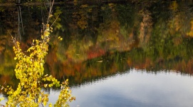 Fall Foliage Reflection