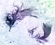 Feathers Abstract Colorful Background