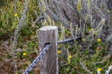 Fence Post And Chain