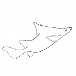 Fish, Dogfish Outline