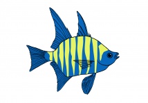 Fish Tropical Illustration