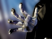 Ghoul's Hand Reaching