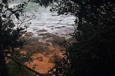 Glimpse Of Sea Through Forest