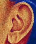 Graffiti Ear
