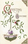 Greeting Sincere Mistletoe & Violas