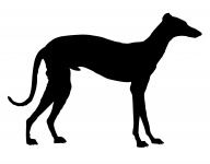 Greyhound Dog Silhouette
