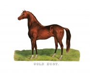 Horse Painting Vintage Print