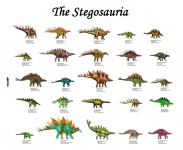 Illustrated Dinosaurs Chart