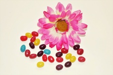 Jelly Beans And Pink Flower