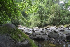 Jungle River Valley