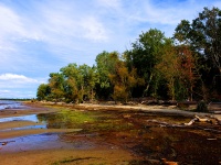 Lake Champlain Autumn Shoreline