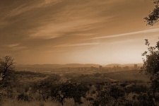 Landscape In Sepia - View From Hill