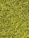 Lemon Carpet Texture Background