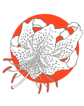 Lily Flower Orange Logo