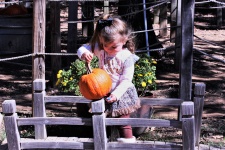 Little Girl Holding Pumpkin