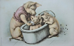 Mama Pig And Piglets Bath