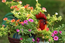 Mini Petunias In Rooster Pot