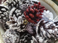 One Red Pine Cone Decoration