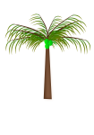 Coconut Palm Tree With Coconut Bunch