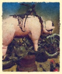 Pig On Motorcycle