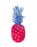 Pineapple Colorful Clipart