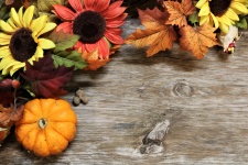 Pumpkin And Fall Flowers Background