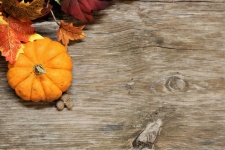 Pumpkin And Fall Leaves Background