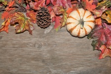 Pumpkin And Leaves Background 2