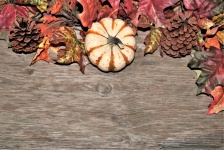 Pumpkin And Pine Cones Background