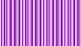 Purple Stripe Pattern