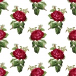 Red Roses Vintage Background