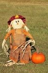 Scarecrow And Pumpkin In Grass