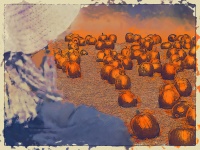 Scarecrow And Pumpkins