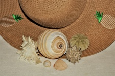 Sea Shells And Straw Hat Close-up