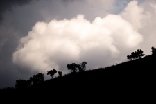 Silhouette Of Hill & Trees On Hill