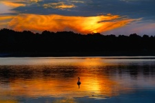 Sunset Water Swan Lake